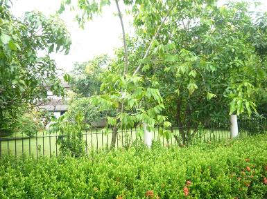 [ขยายภาพ+] ขาย ที่ดินเปล่า หมู่บ้าน ชวนชื่นกรีนวิลล์ 116 ตร.ว ราคา 6,000,000 บาท